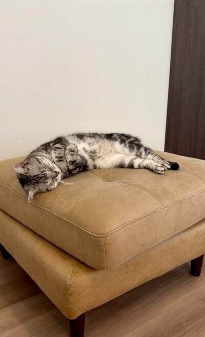 「セルフハグ」をする姿
