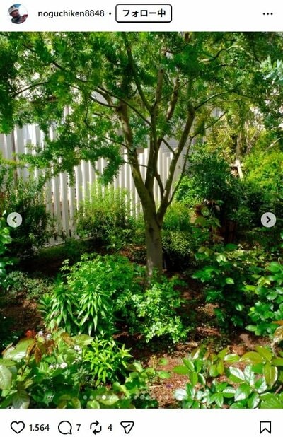 野口健のInstagram投稿