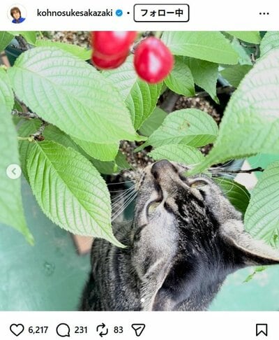 坂崎幸之助のInstagram投稿