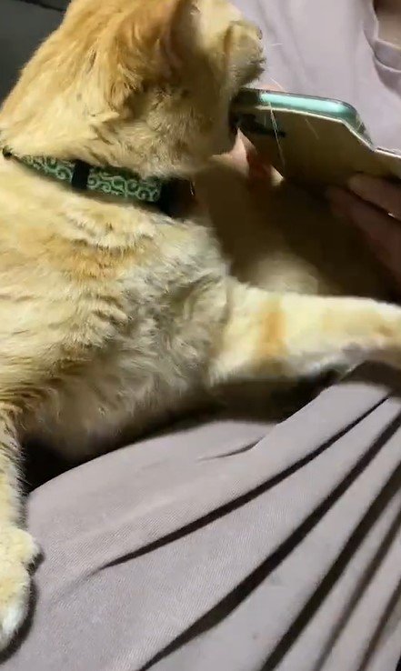 出所：@luna7taka9