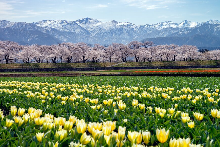 Hokuriku123/shutterstock.com