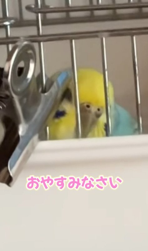 出所：@daiinkoteikoku_soraoto