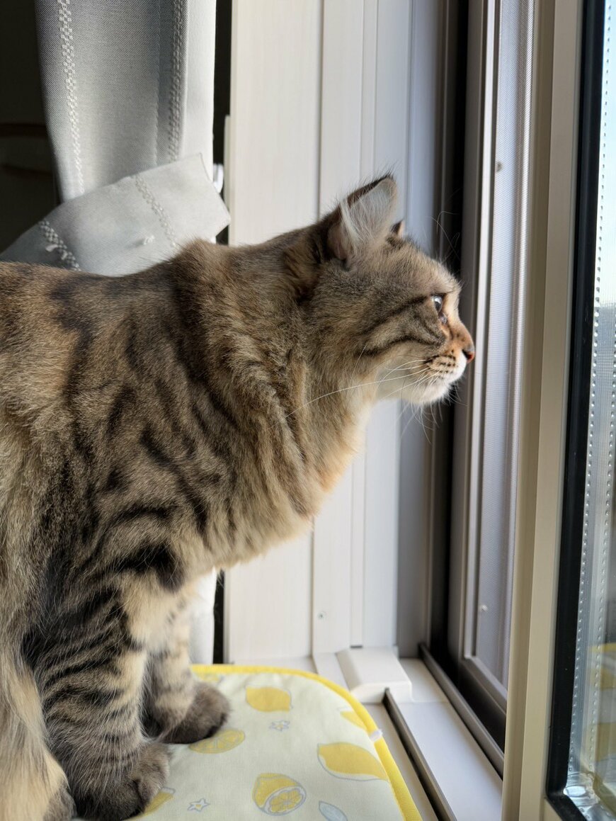 出所：@tomiyama_1012