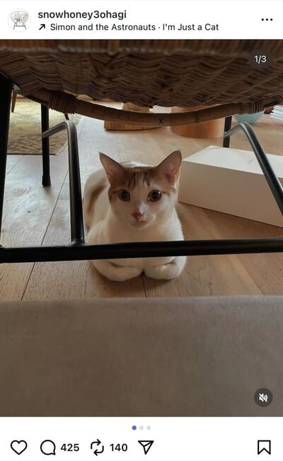 出所：石田ゆり子のInstagram（@snowhoney3ohagi）参照日：2025年10月26日