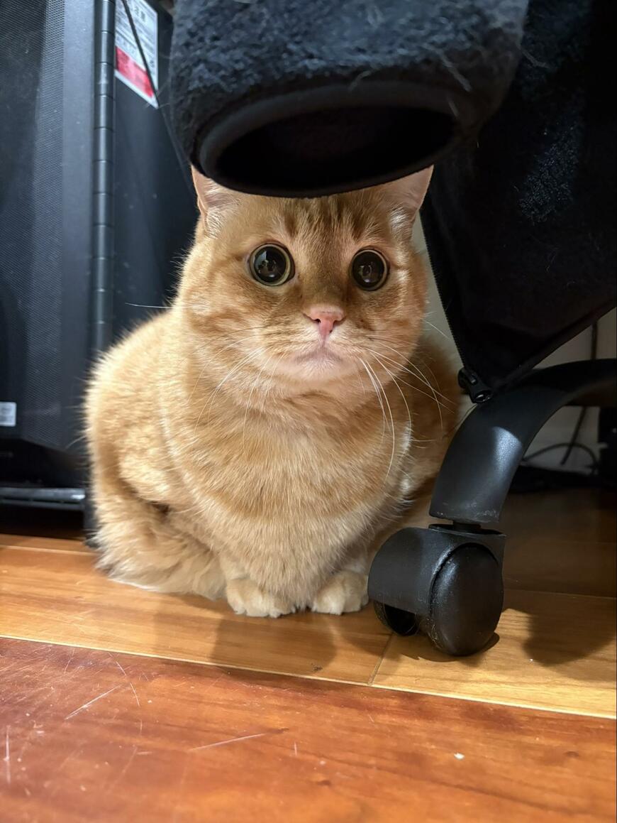 出所：@kagisuzu0531