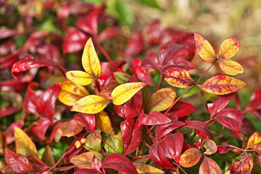 igaguri_1/istockphoto.com