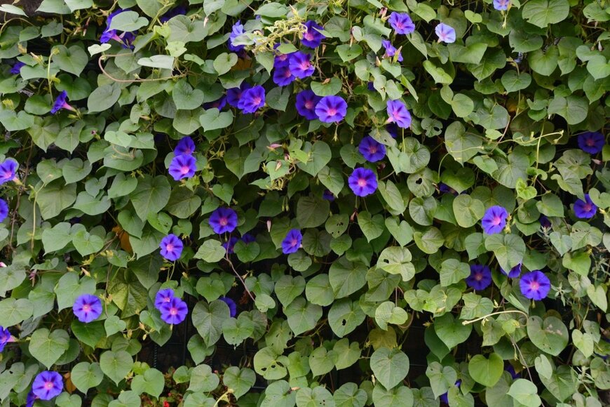 milart/shutterstock.com