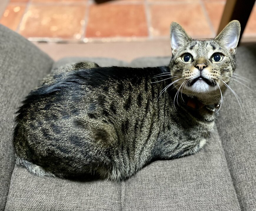 出所：@luna7taka9