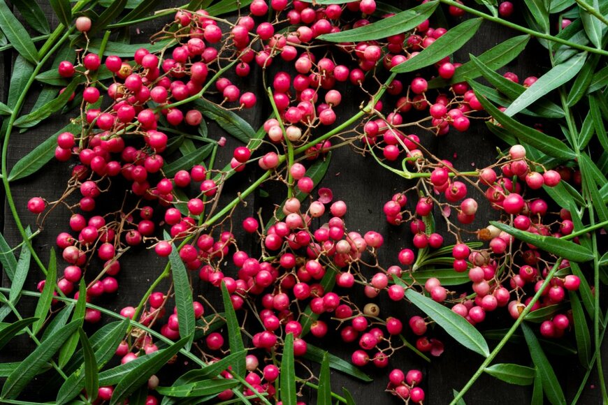 ペッパーベリー　Vincenzo De Bernardo/shutterstock.com