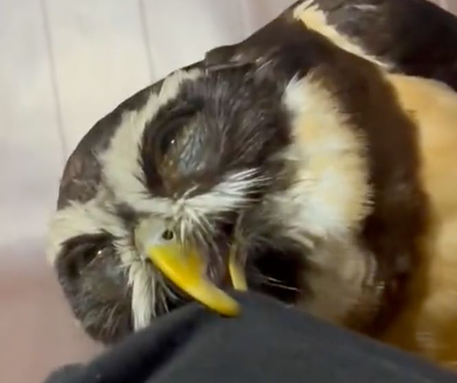 出所：@ooS6lBRTtjxdL7U