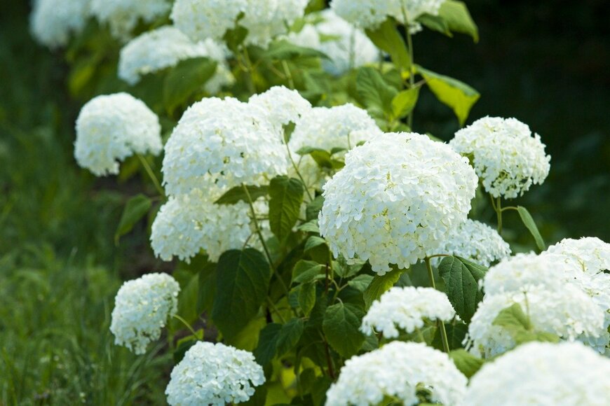 Эмма Бойко/istockphoto.com