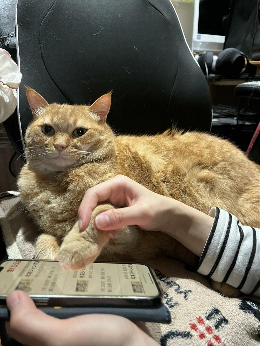 出所：@kagisuzu0531