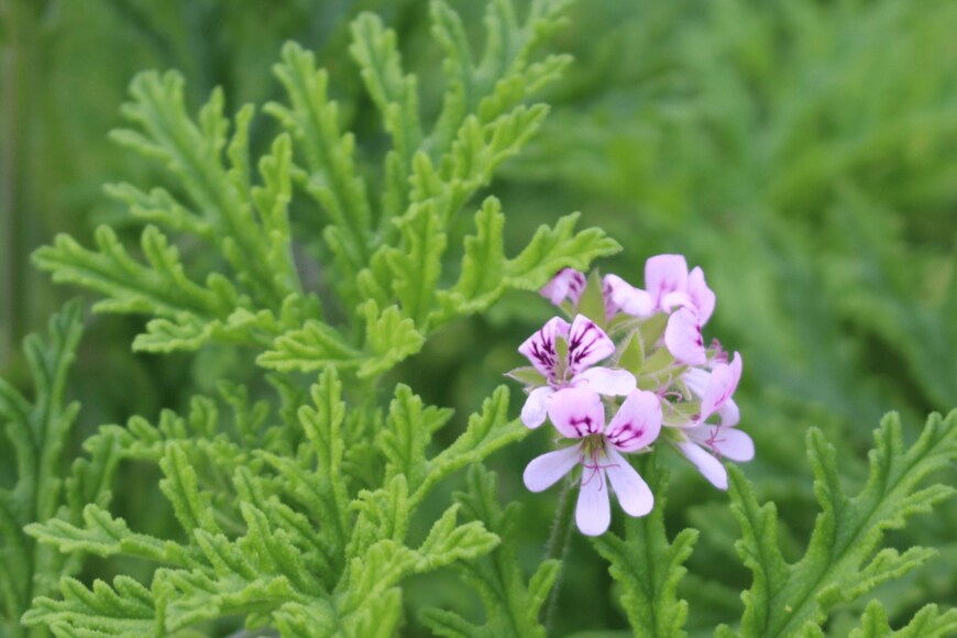 RukiMedia/istockphoto.com