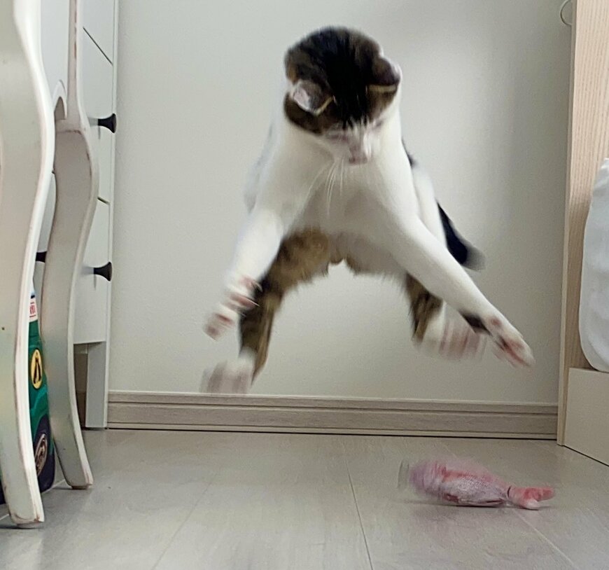 出所：@Saeroyi_cat