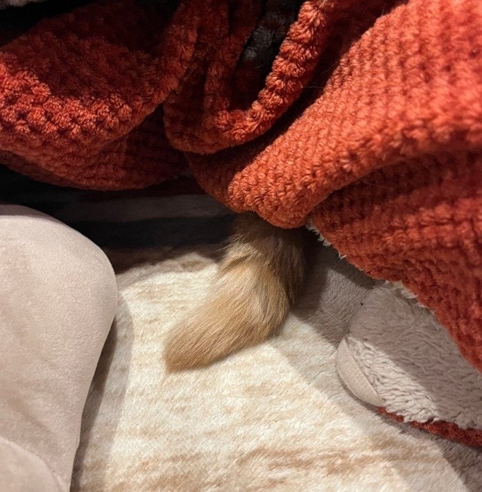 出所：@kotaro_0315