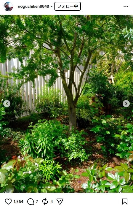 出所：野口健のInstagram（＠noguchiken8848） 参照日：2026年4月20日
