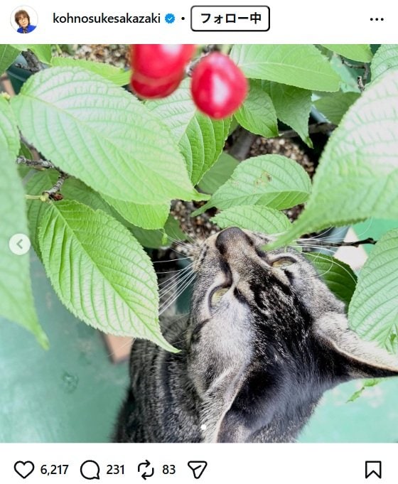 出所：坂崎幸之助のInstagram（＠kohnosukesakazaki） 参照日：2026年4月24日
