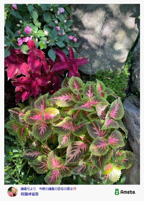 出所：假屋崎省吾のAmebaブログ 参照日：2025年7月10日