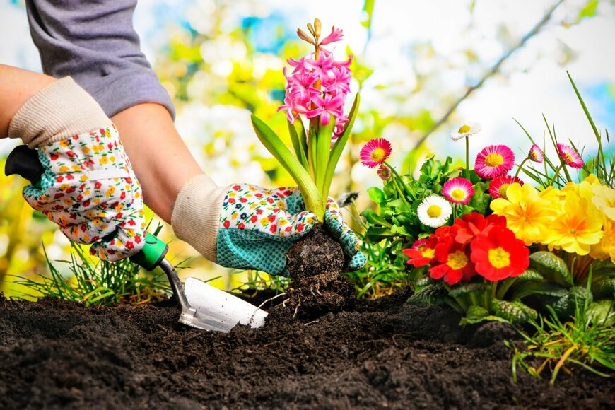 【ガーデニング】今から始める春からの庭作り！庭のスペースや環境に合わせた花壇のデザイン