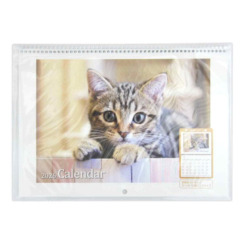出所:キャンドゥ公式 26見開きリング式カレンダー B4 CAT
