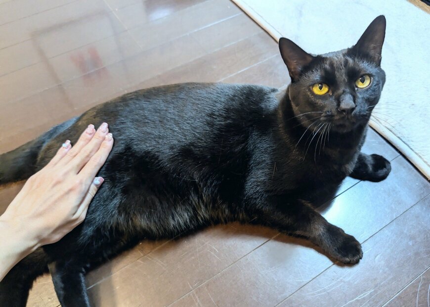 とっても大きく成長しました