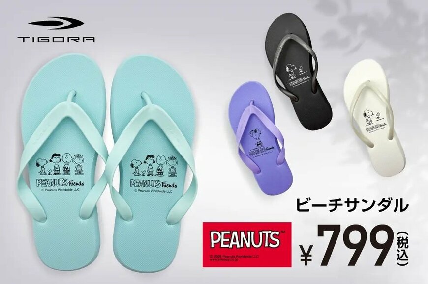 アルペングループ公式オンラインストア TRPLビーチサンダルの画像