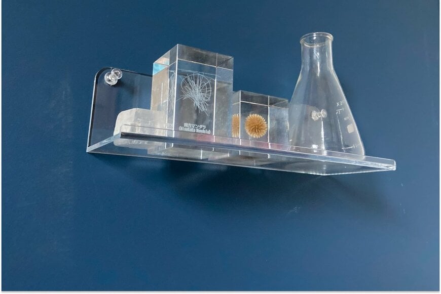 セリア アクリル ウォールラック 20cm