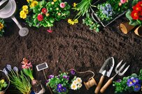 【ベランダガーデニング】プランターの土「使い終わった後はどうする？」知っておきたい3つの方法