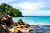 八丈島の砂浜で遭遇した「サソリ」のような生物　その正体に思わず目を疑う