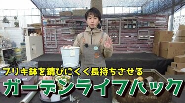 園芸のプロが解説》アンティークなガーデン雑貨「ブリキ鉢」を錆から