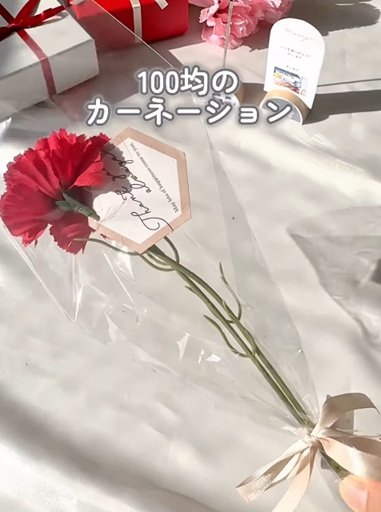 変身前のカーネーション