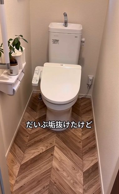 変身前のトイレ