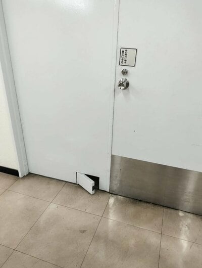 投稿の画像