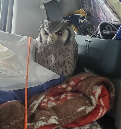 投稿写真のワンシーン