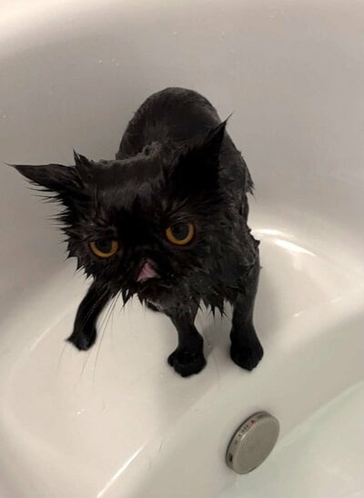 小さくなっちゃった！？