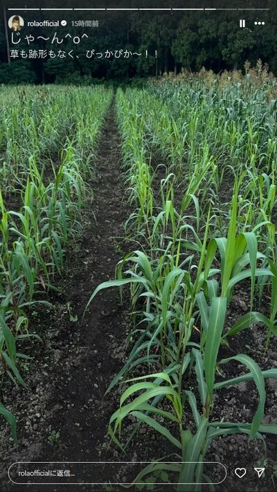 ローラのInstagram投稿