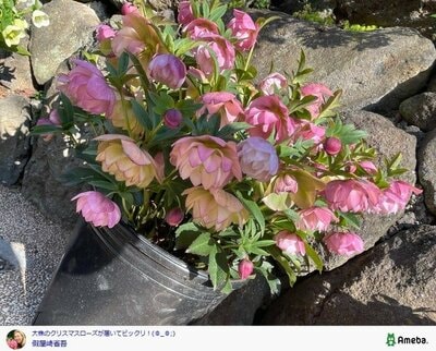 假屋崎省吾の公式ブログ投稿