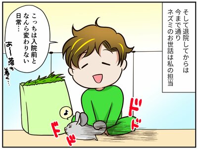チンチライフ181話