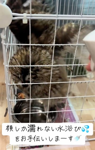 投稿動画のワンシーン