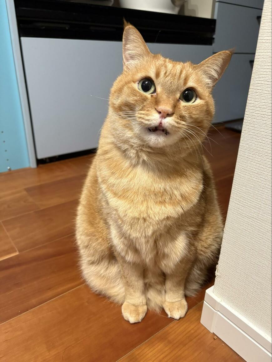 出所：@kagisuzu0531