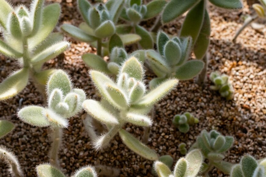 two K/shutterstock.com