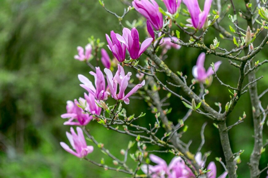 SMarina/istockphoto.com