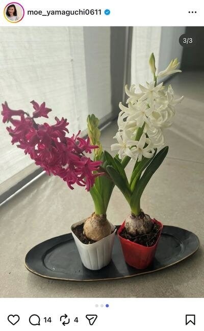出所：山口もえのInstagram（@moe_yamaguchi0611）参照日：2026年2月8日