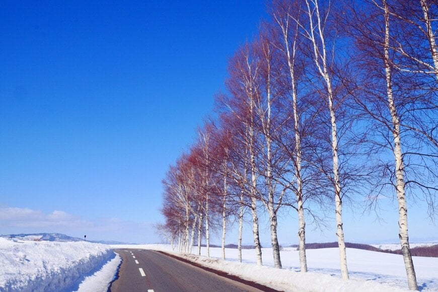 出所：jjik2/shutterstock