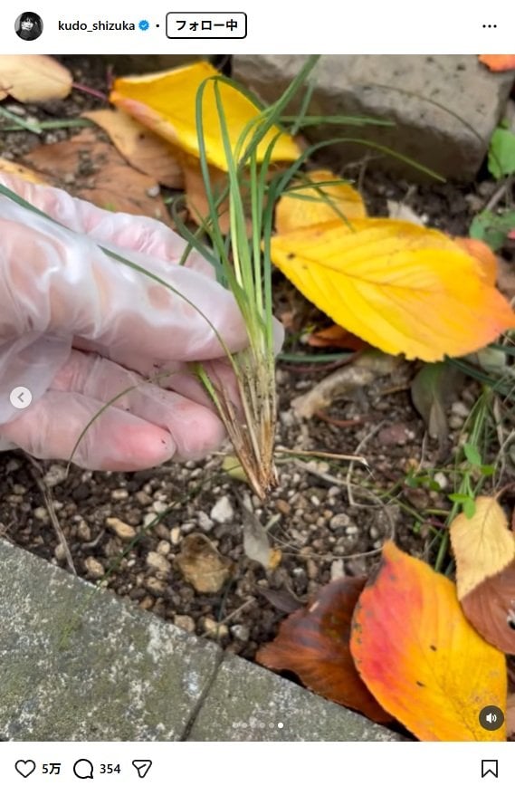 出所：工藤静香のInstagram（＠kudo_shizuka）　参照日：2025年11月25日