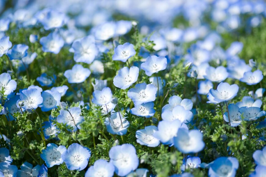 zzz555zzz/Shutterstock.com