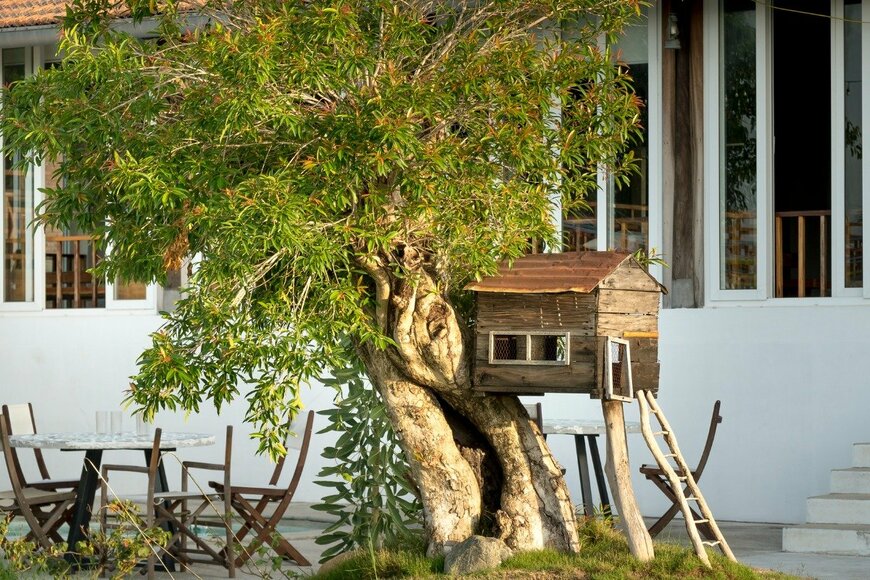 quangpraha/istockphoto.com