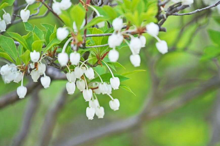 igaguri_1/istockphoto.com