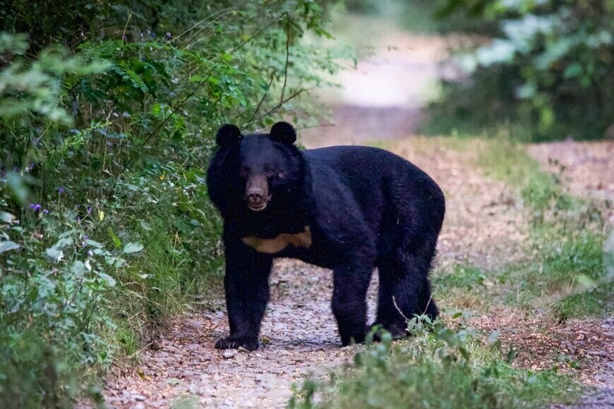 undefined undefined/istockphoto.com
