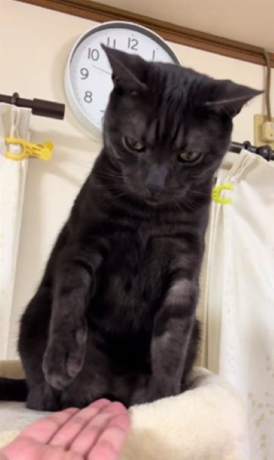 出所：@mugi.omochi0804